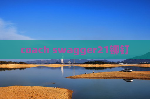 coach swagger21铆钉